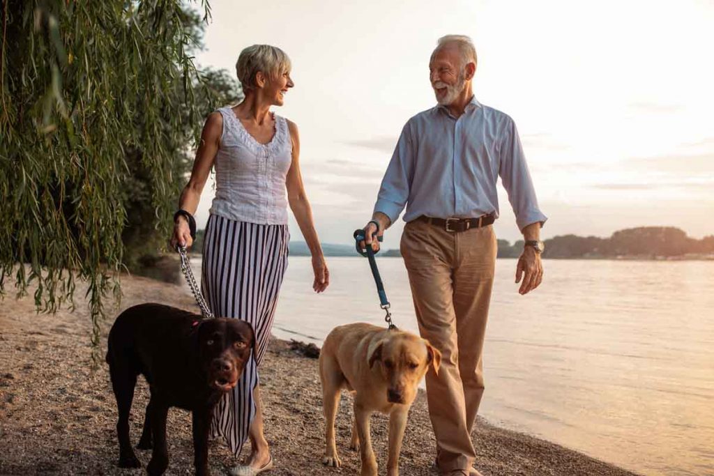 Pasear a mi perro en pareja